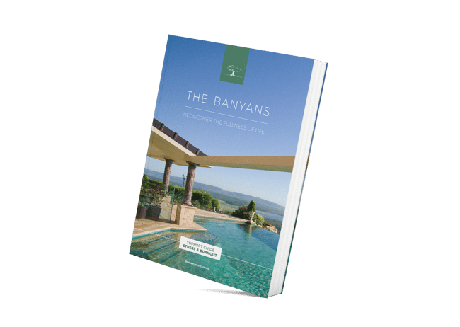 Banyans_Stress_Burnout_SupportGuideMockup